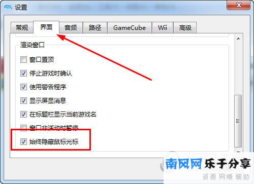 始终隐藏鼠标光标