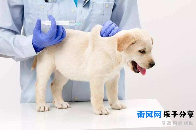 狂犬病发作会学狗叫吗（前期还有这些症状）
