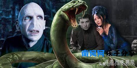 《哈利波特》：纳吉尼的真实身份，伏地魔知道吗？