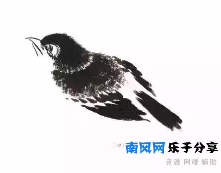 分步骤详解，写意翎毛基本画法，从结构到姿态，跟着学有大收获