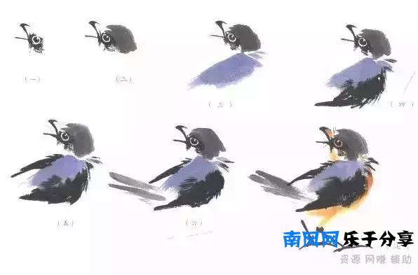 分步骤详解，写意翎毛基本画法，从结构到姿态，跟着学有大收获