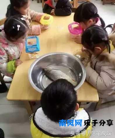 带鱼孩子刷爆网络，P图大神：一百种煮法刷火你的朋友圈