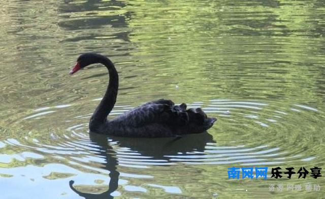 宋祖儿20岁才上大学，晒军训照清纯可爱，自嘲要去美黑了！