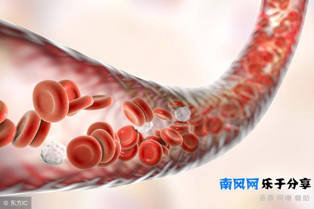 什么是熊猫血？拥有熊猫血是怎样的一种感受？看完涨知识了