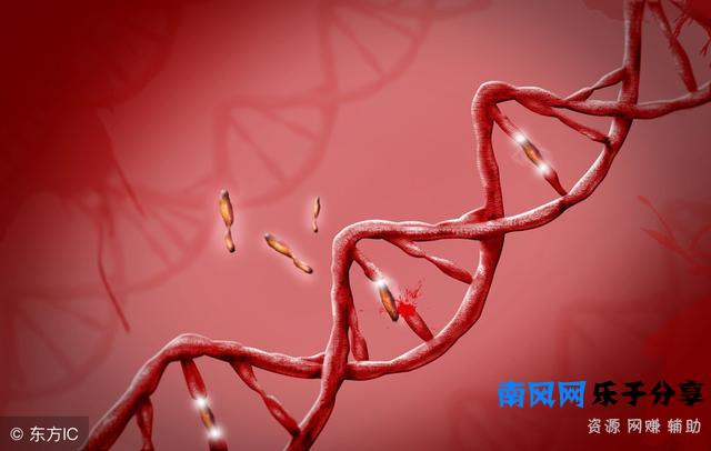 什么是熊猫血？拥有熊猫血是怎样的一种感受？看完涨知识了