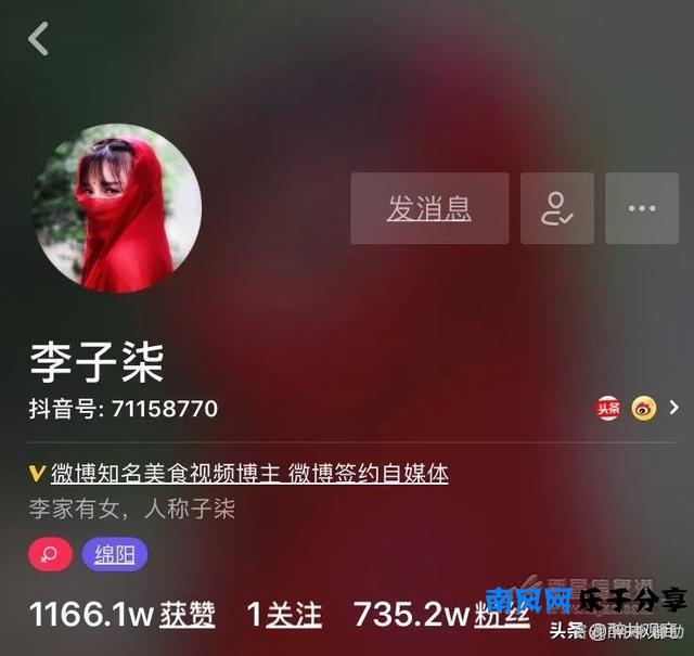 李子柒靠什么赚钱？究竟是如何靠视频盈利的呢？