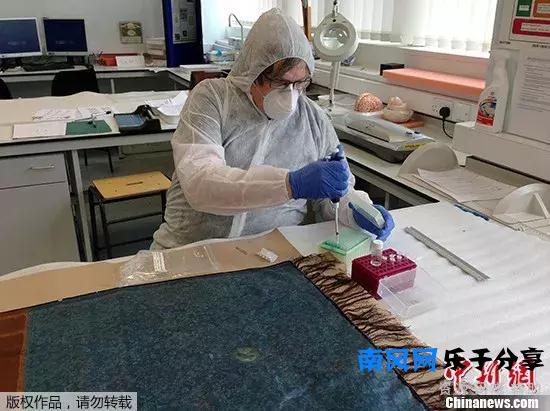 DNA立功了！131年前的“开膛手杰克”原来是他？