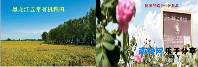 今年最有潜力的几个创业好思路