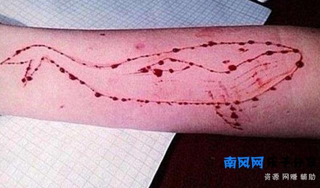 蓝鲸发明者终入狱 这个游戏为何这么可怕？（组图）
