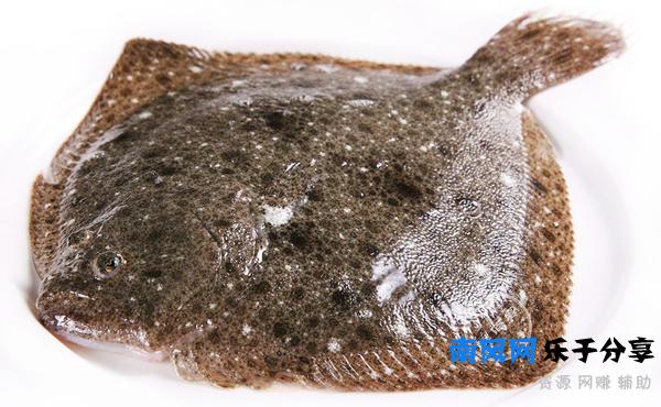 多宝鱼是海鱼还是淡水鱼 多宝鱼怎么***