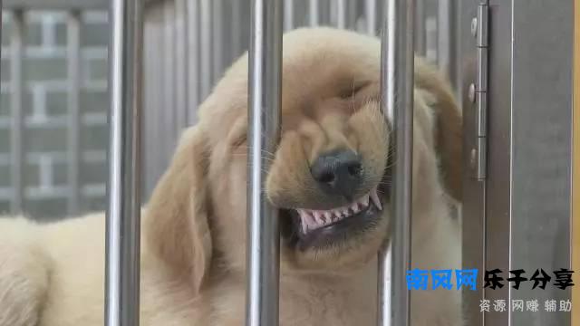 老王搞事情，为拍片砸烂朋友店的招牌！