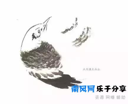 分步骤详解，写意翎毛基本画法，从结构到姿态，跟着学有大收获