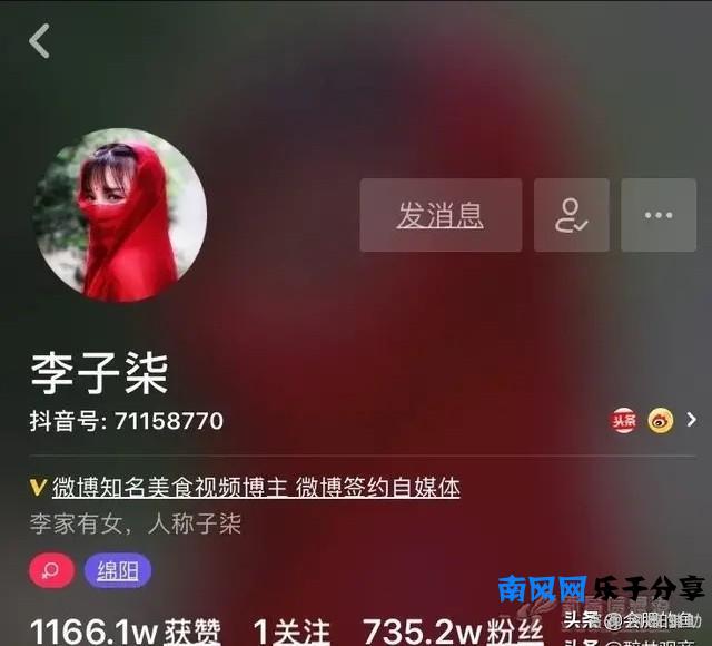 李子柒靠什么赚钱？盈利的方式是什么？