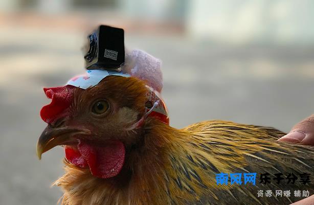 为什么鸡头防抖这么厉害，依靠的是什么原理？