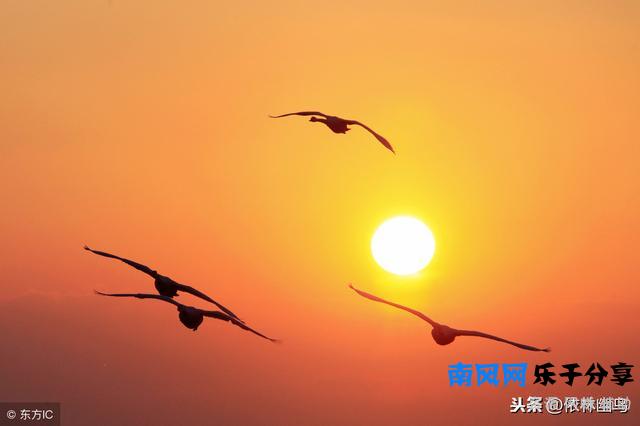 常说“人心不古”，却不知古人之心