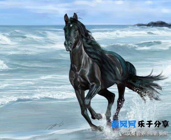 汗血宝马一匹最高几千万