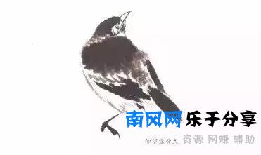 分步骤详解，写意翎毛基本画法，从结构到姿态，跟着学有大收获