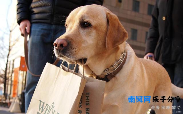 狂犬病发作会学狗叫吗（前期还有这些症状）