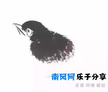 分步骤详解，写意翎毛基本画法，从结构到姿态，跟着学有大收获