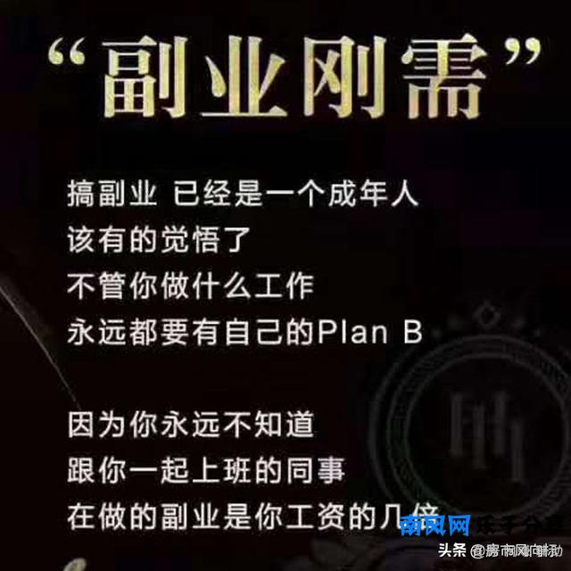 2020年社群电商元年？东小店、花生日记、淘小铺谁更适合做副业？