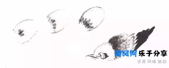 分步骤详解，写意翎毛基本画法，从结构到姿态，跟着学有大收获