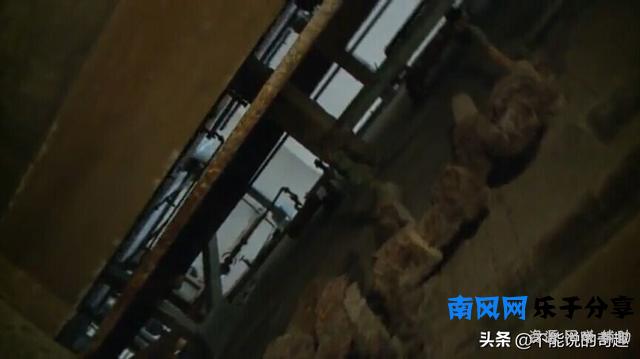 一封神秘信件，将当年恶魔岛三人越狱的真假疑云再次浮于公众面前