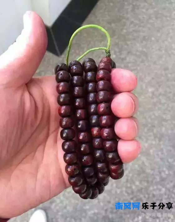 教你做条朱砂供玩玩！