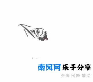 分步骤详解，写意翎毛基本画法，从结构到姿态，跟着学有大收获