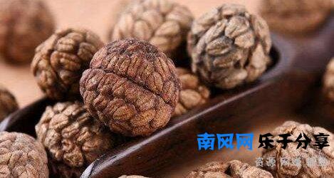 草寇的功效与作用及食用方法