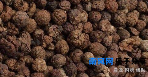 草寇的功效与作用及食用方法