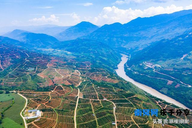 褚时健鲜为人知的故事，75岁开始种橙子，如今子承父业