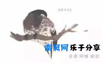 分步骤详解，写意翎毛基本画法，从结构到姿态，跟着学有大收获