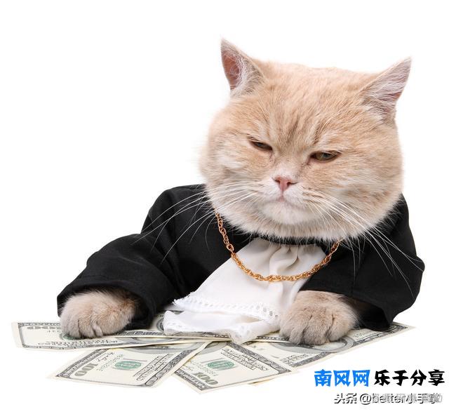 职场跳槽3步走，助你越跳越值钱