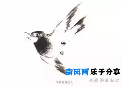 分步骤详解，写意翎毛基本画法，从结构到姿态，跟着学有大收获