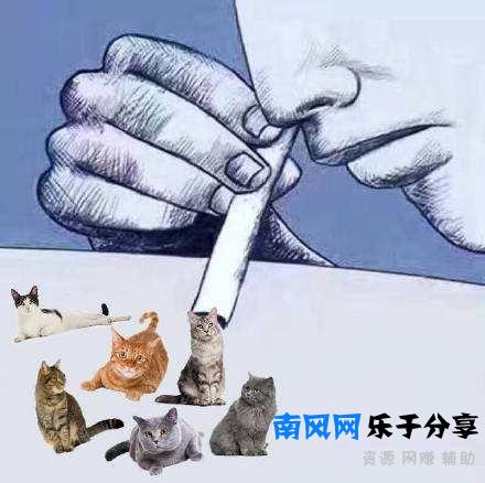 猫薄荷是什么东西？为什么猫咪闻了会撒娇打滚？