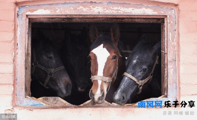 三驾马车：究竟是三辆车还是一辆车？