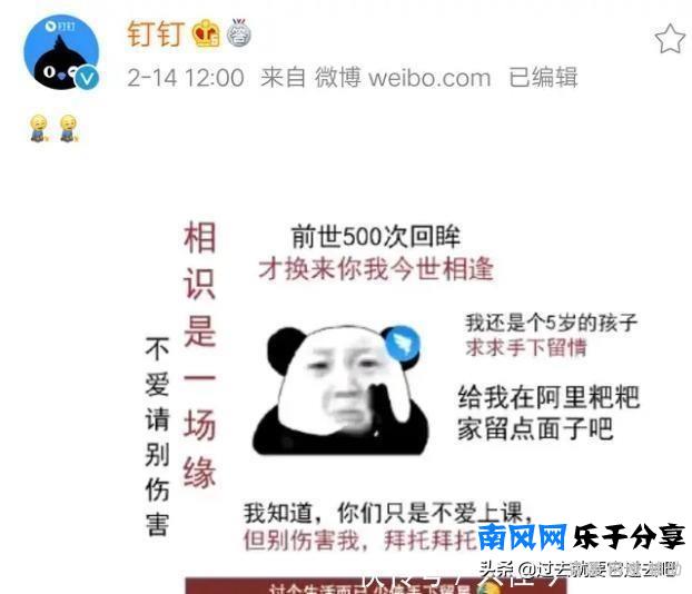 钉钉终于向小学生“低头”了，哈哈哈