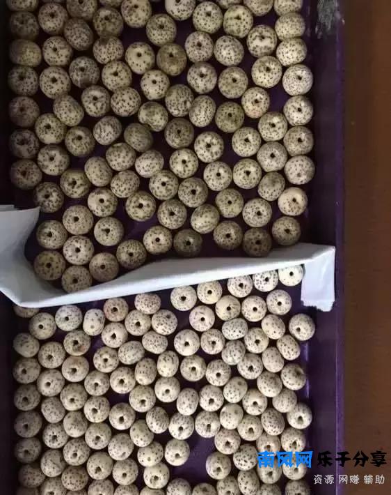 教你做条朱砂供玩玩！