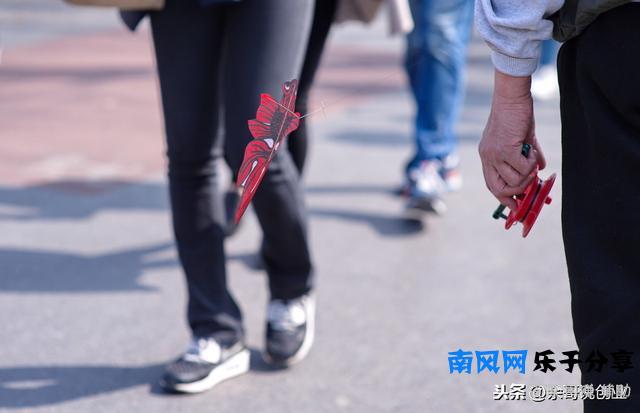 抖音新号一个星期涨粉8000！0基础做抖音，这4点送你参考