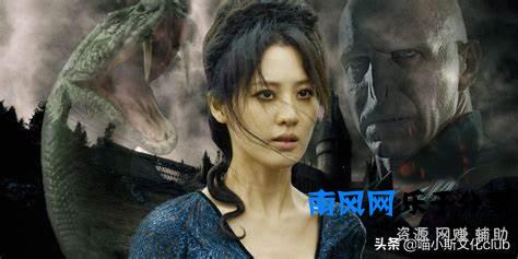 《哈利波特》：纳吉尼的真实身份，伏地魔知道吗？