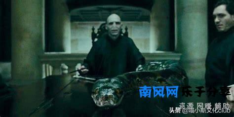 《哈利波特》：纳吉尼的真实身份，伏地魔知道吗？