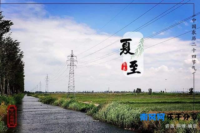 牛虻是一种什么样的昆虫，了解一下