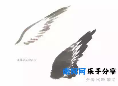 分步骤详解，写意翎毛基本画法，从结构到姿态，跟着学有大收获