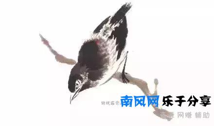 分步骤详解，写意翎毛基本画法，从结构到姿态，跟着学有大收获