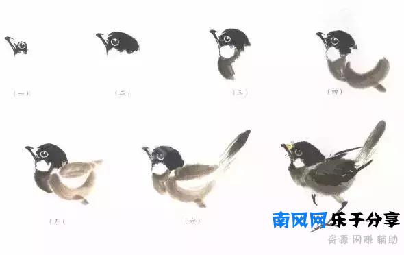 分步骤详解，写意翎毛基本画法，从结构到姿态，跟着学有大收获