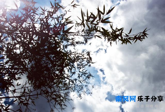 《严郑公宅同咏竹》唐 杜甫