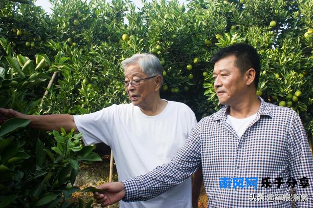 褚时健鲜为人知的故事，75岁开始种橙子，如今子承父业