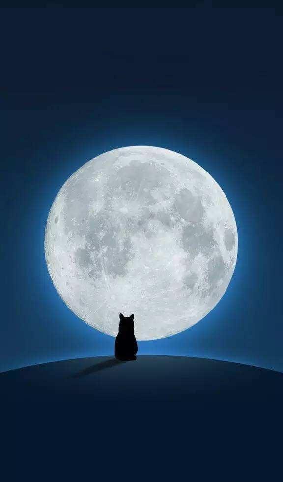 qq返利机器人哪个好用（qq群发优惠券机器人）