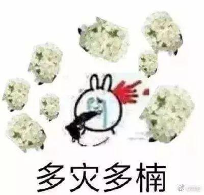 石楠的味道（石楠花的味道像什么）