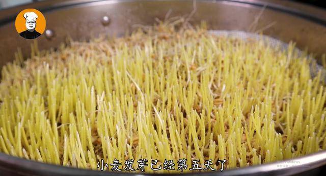 麦芽糖怎么做(白砂糖怎么做麦芽糖教程)